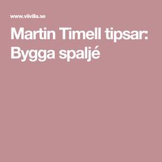 Martin Timell