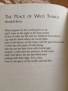 Wendell Berry