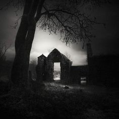 Andy Lee