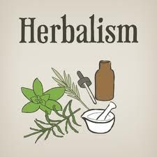 Herbalisti