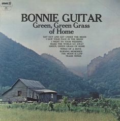 Bonnie Guitar