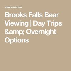 Brooke Falls