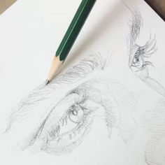 Sketch