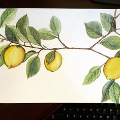 Kieran Lemon