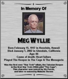 Meg Wyllie