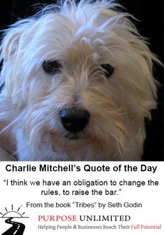 Charlie Mitchell
