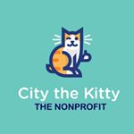 City the Kitty