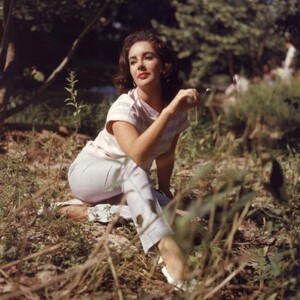 Liz Taylor