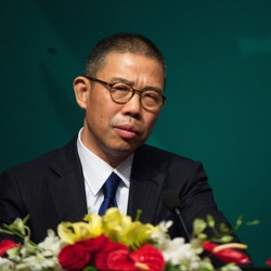 Zhong Shanshan