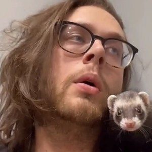 Ferret Daddy