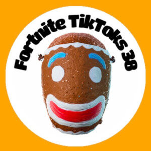 FortniteTikToks38