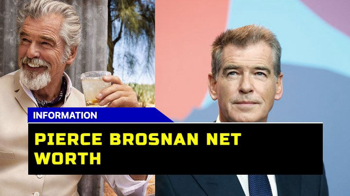 Summary of Pierce Brosnan net worth