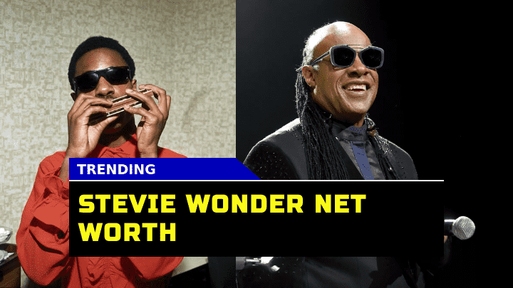 Stevie Wonder Net Worth 2023 Has the Legendary Musician Wealth Surpassed Expectations?