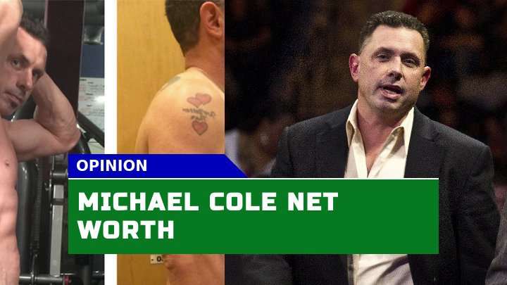 How Much Is Michael Cole Worth in 2023? A Detailed Analysis