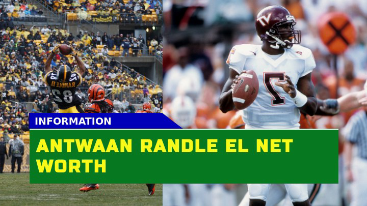 How Much is Antwaan Randle El Worth in 2023?