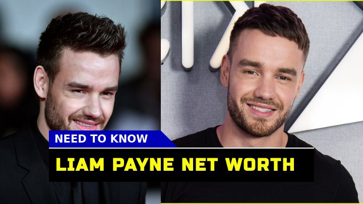 Liam Payne Net Worth How the British Pop Sensation Amassed His Fortune