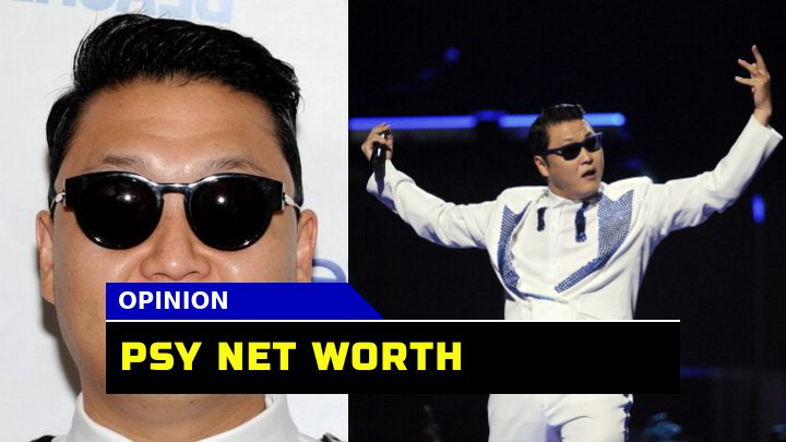 How Has Gangnam Style Impacted Psy Net Worth ?