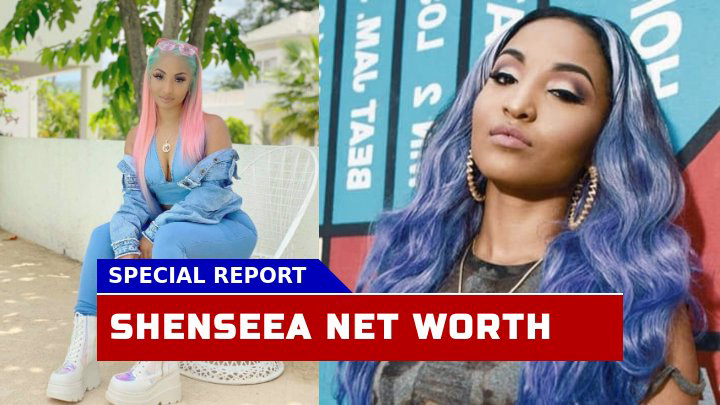 Shenseea Net Worth 2023 What the Jamaican Music Star Fortune?