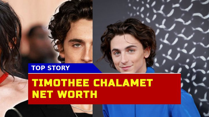How Much Is Timothée Chalamet Worth? His Net Worth 2023