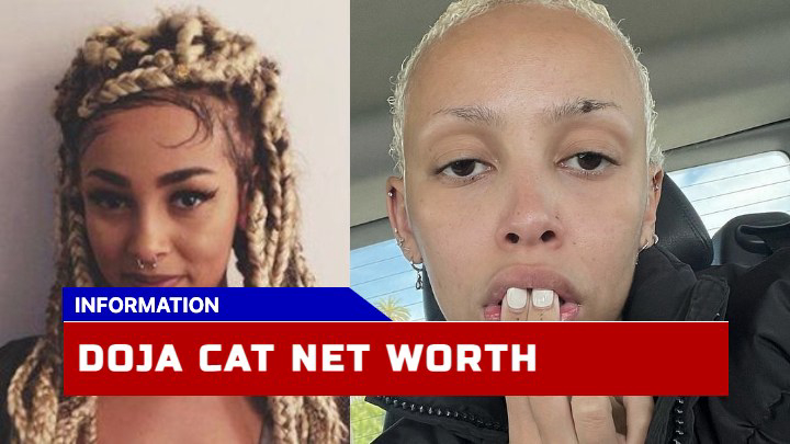 Doja Cat Net Worth How Much Has the Rising Star Earned in 2023?