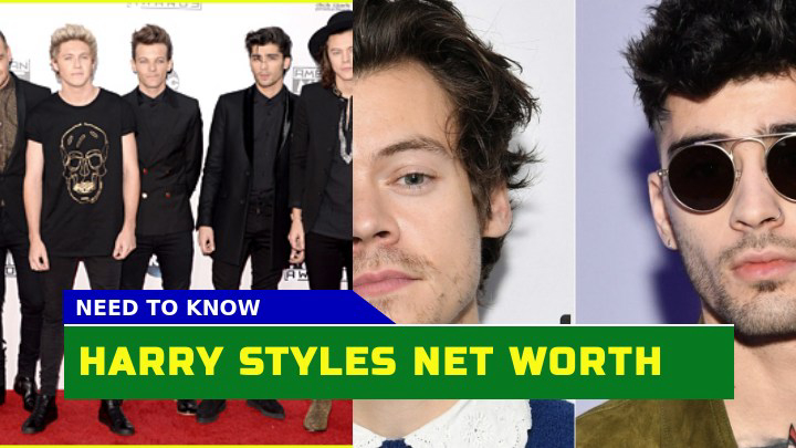 How Did Harry Styles Amass a Net Worth of $120 Million in 2023?