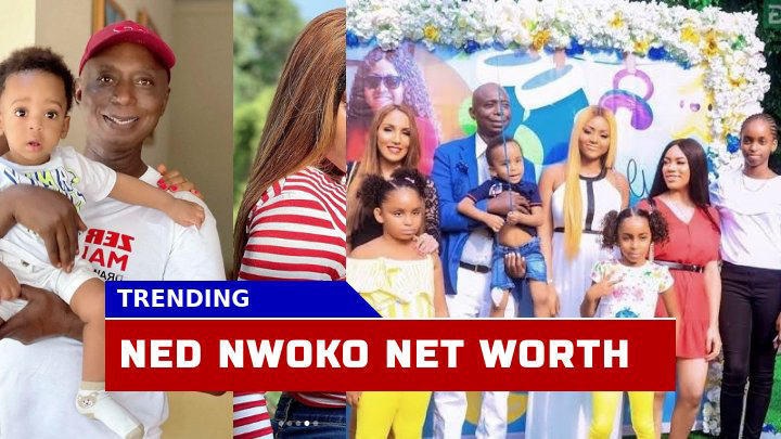 Is Ned Nwoko Net Worth Really $1.2 Billion? Let Unveil His Wealth