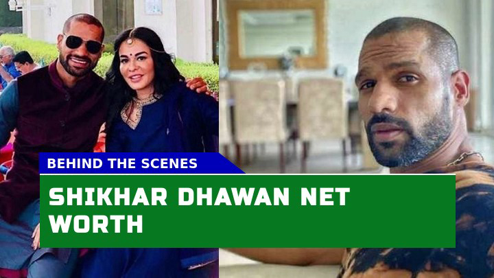 How Much is Shikhar Dhawan Net Worth in 2023?