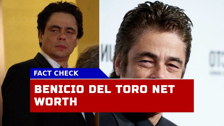 Benicio del Toro Net Worth in 2023 How Did the Puerto Rican Star Amass His $45 Million Fortune?