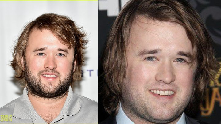 How Much Is Haley Joel Osment Worth in 2023?