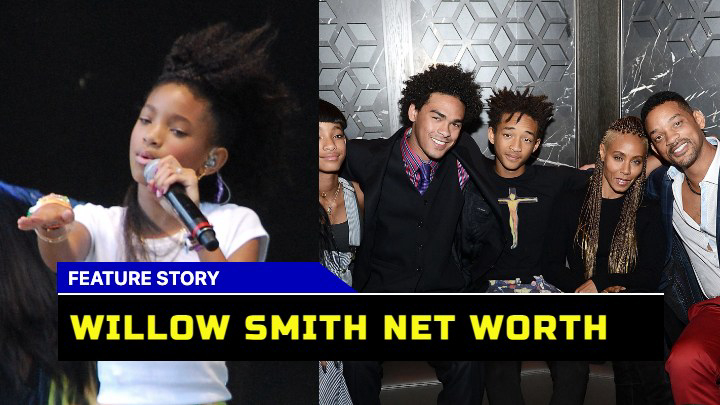 How Much is Willow Smith Worth in 2023? Delving into the Rising Star Wealth