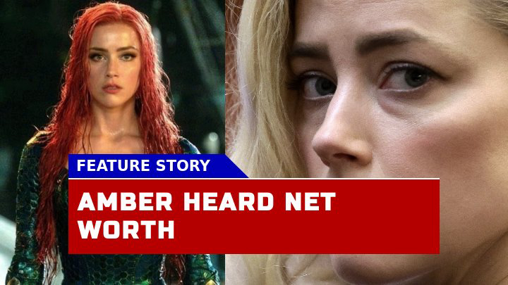 How Did the Defamation Lawsuit Impact Amber Heard Net Worth in 2023?