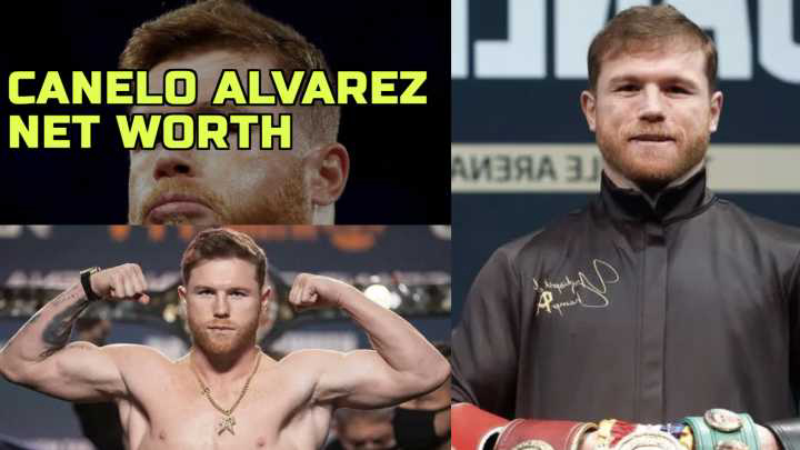 Canelo Alvarez Net Worth From Boxing Rings to Business Ventures